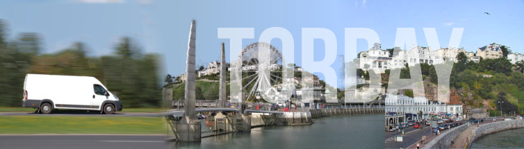 Torbay Pest Control Service