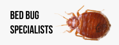 Bed Bug Pest Control Specialists