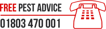 Free Pest Advice Number
