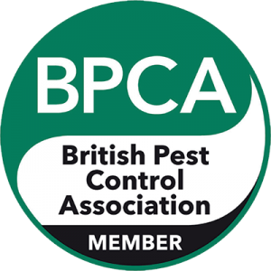 Pest Professionals – Full BPCA Members and proof that we’re fit for the fight
