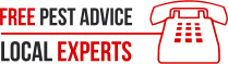 Local Pest Experts - Free Advice