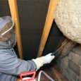 Giant wasp nest found in abandoned loft