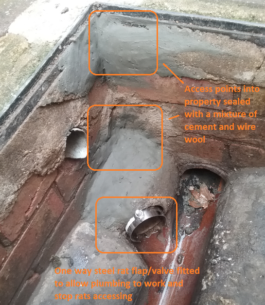 Rat proofing in drains including the use of a rat flap