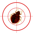 Heat treatment for bed bugs – what to look out for; and what to avoid at all costs!!