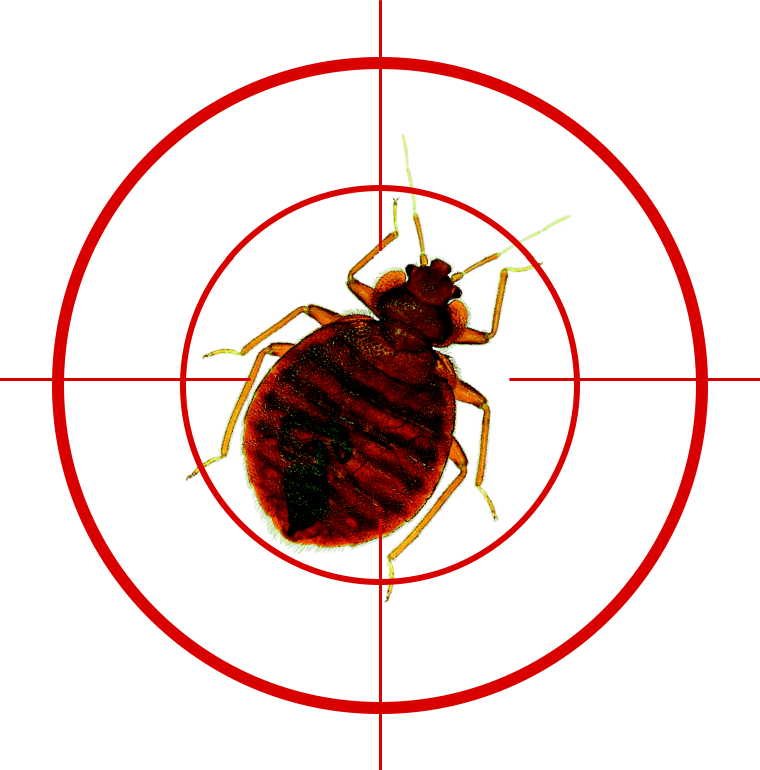 Heat treatment for bed bugs – what to look out for; and what to avoid at all costs!!