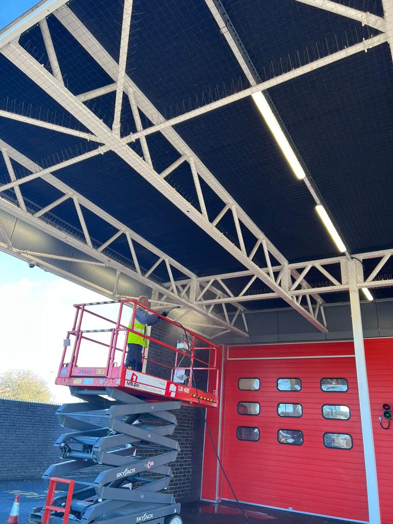 Pigeon netting off a scissor lift