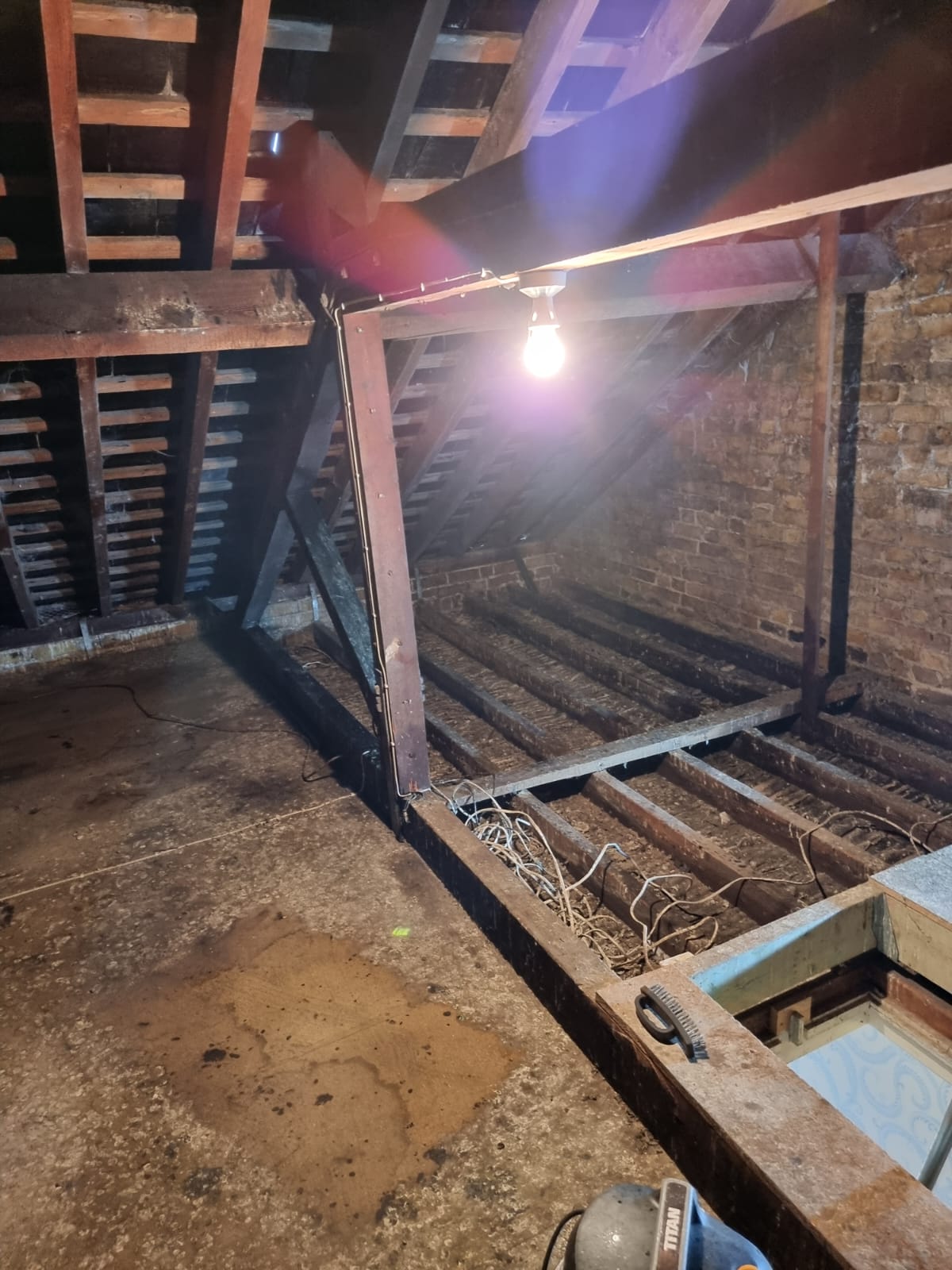 Pigeon fouling loft clearance