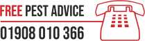 Free Pest Advice Number